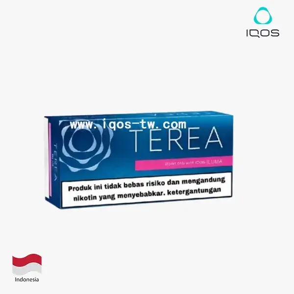 【濃薄荷】亞洲版Indonesia印尼ILUMA煙彈 IQOS ILUMA專用 整條10包 三天到貨:圖片 3